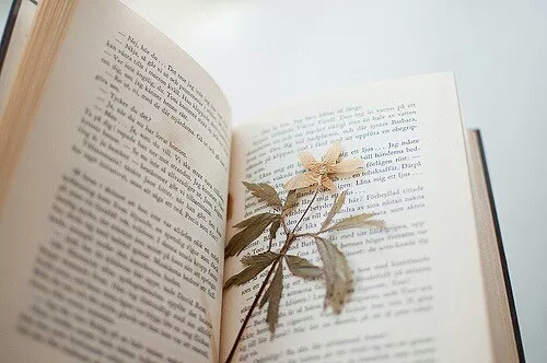毕业论文查重的重复率真的是越低就越好吗？
